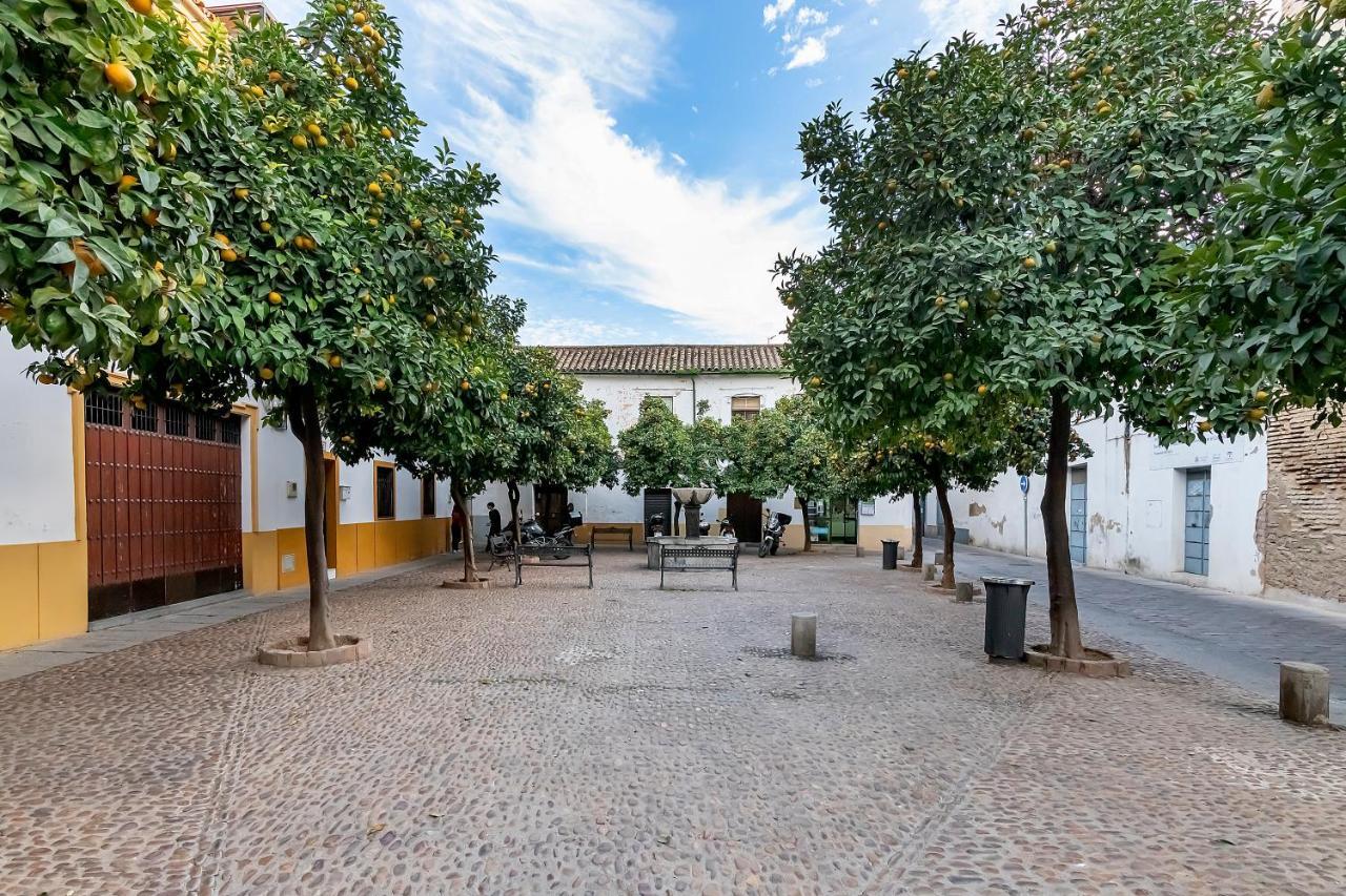 Bhost - Regina Apartment Cordoba Luaran gambar